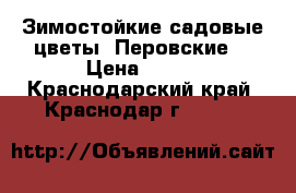 Зимостойкие садовые цветы “Перовские“ › Цена ­ 200 - Краснодарский край, Краснодар г.  »    